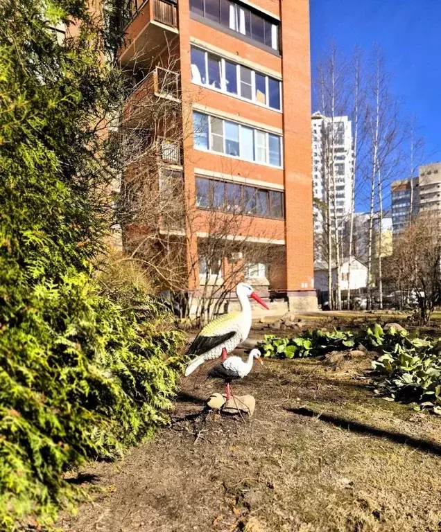 1-к кв. Санкт-Петербург ул. Рашетова, 6 (38.2 м) - Фото 1