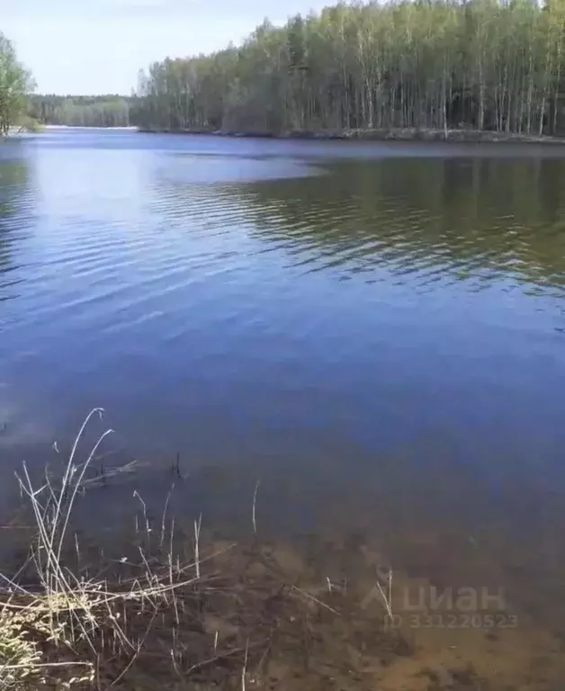 Участок в Псковская область, Опочецкий муниципальный округ, д. Исаки  ... - Фото 2