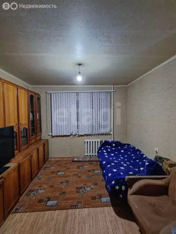 1-комнатная квартира: Оренбург, Салмышская улица, 56 (42.9 м) - Фото 2