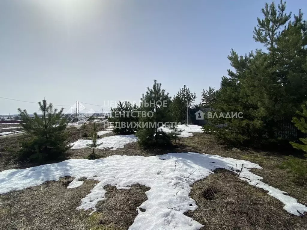 Участок в Рязанская область, Рязанский муниципальный округ, с. ... - Фото 1