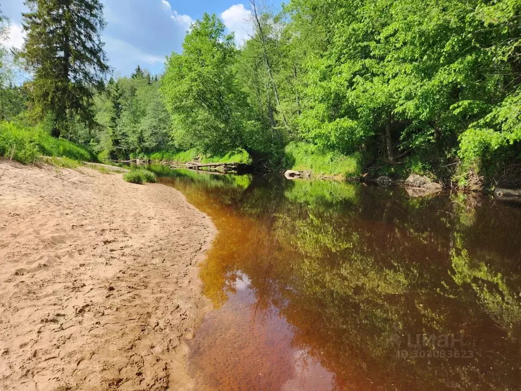 Участок в Ленинградская область, Лужский район, Толмачевское городское ... - Фото 0