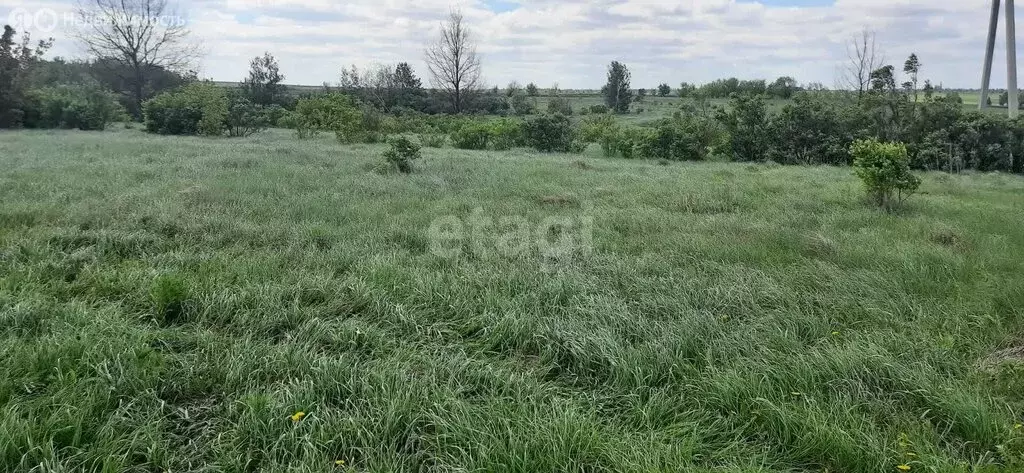 Участок в деревня Копцевы Хутора, Изумрудная улица (10 м) - Фото 0