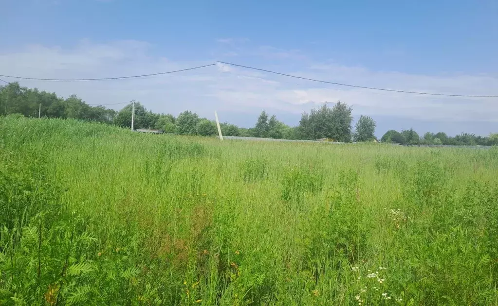 Участок в Московская область, Воскресенск городской округ, д. ... - Фото 2