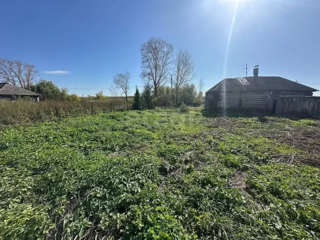 Участок в Башкортостан, Стерлитамакский район, Рязановский сельсовет, ... - Фото 1
