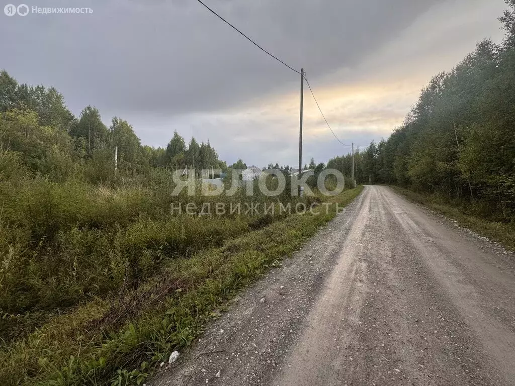 Участок в Пермский край, муниципальный округ Березники, деревня ... - Фото 1