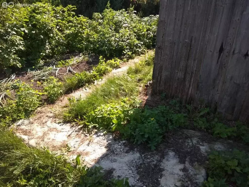 Участок в Рузаевка, улица Кирова (14.5 м) - Фото 2