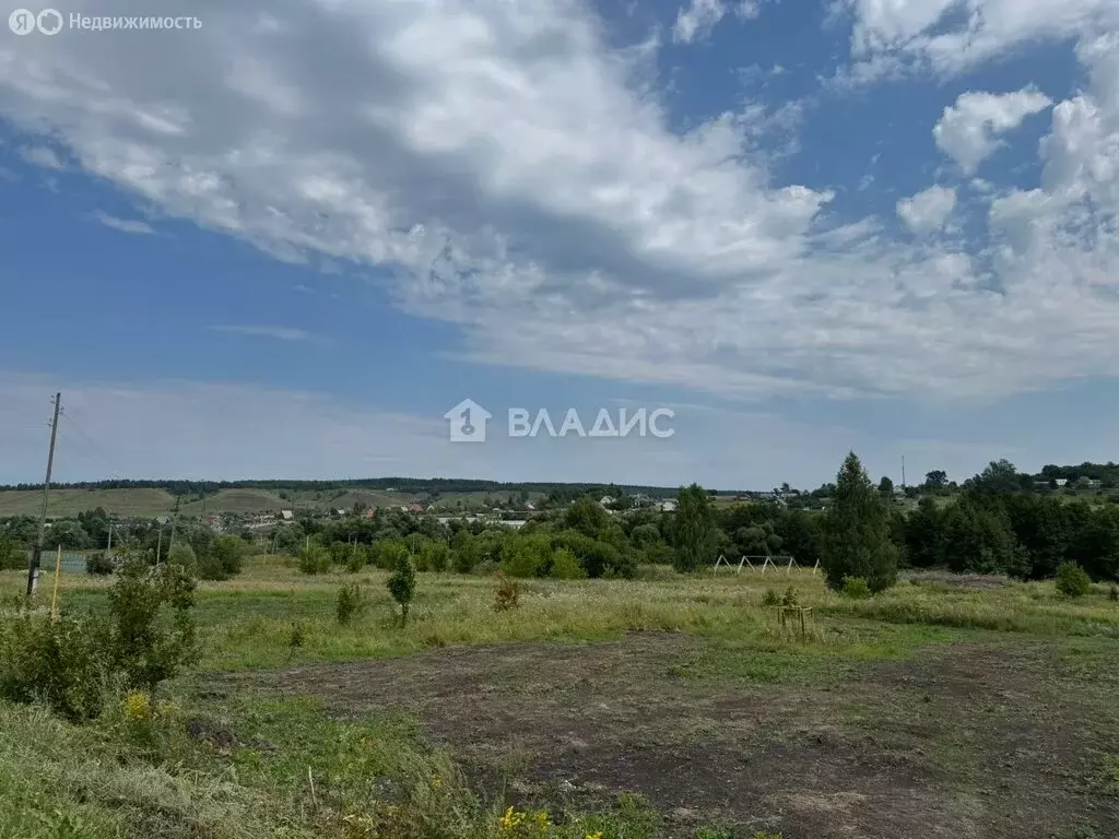 Участок в Пензенский район, Воскресеновский сельсовет, село Большая ... - Фото 2