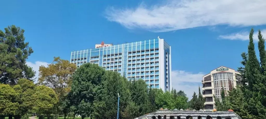 Помещение свободного назначения в Краснодарский край, Сочи ул. Ленина, ... - Фото 1