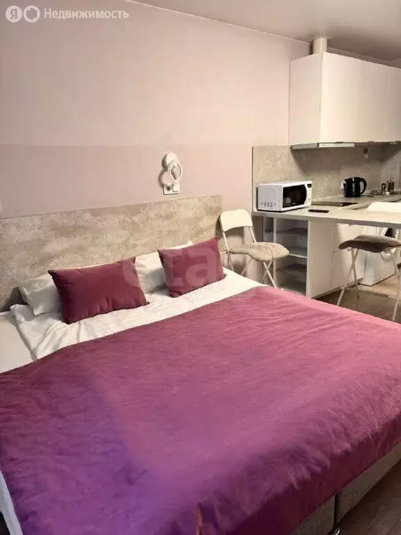 Квартира-студия: Санкт-Петербург, Детский переулок, 2 (29.9 м) - Фото 2