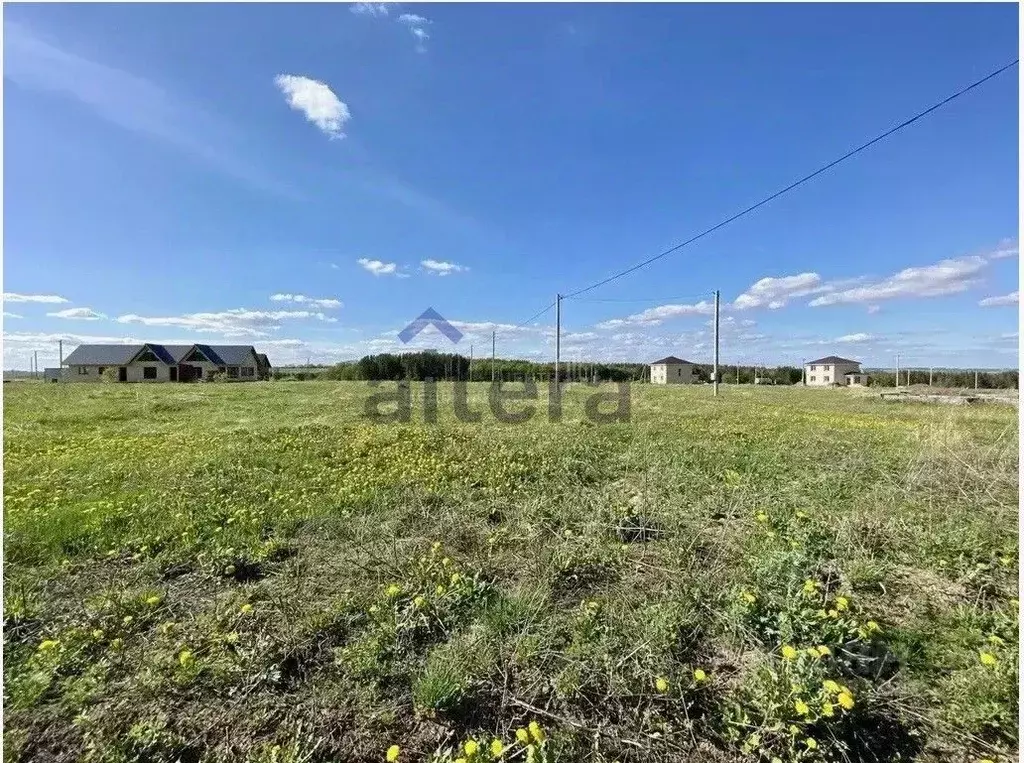 Участок в Татарстан, Пестречинский район, Шигалеевское с/пос, с. Новое ... - Фото 2