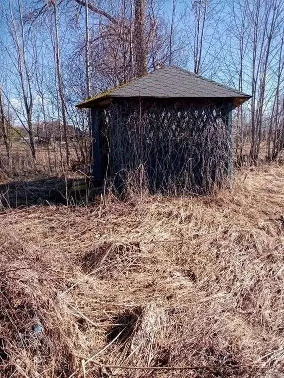 Участок в Новгородская область, Шимский район, Медведское с/пос, д. ... - Фото 2