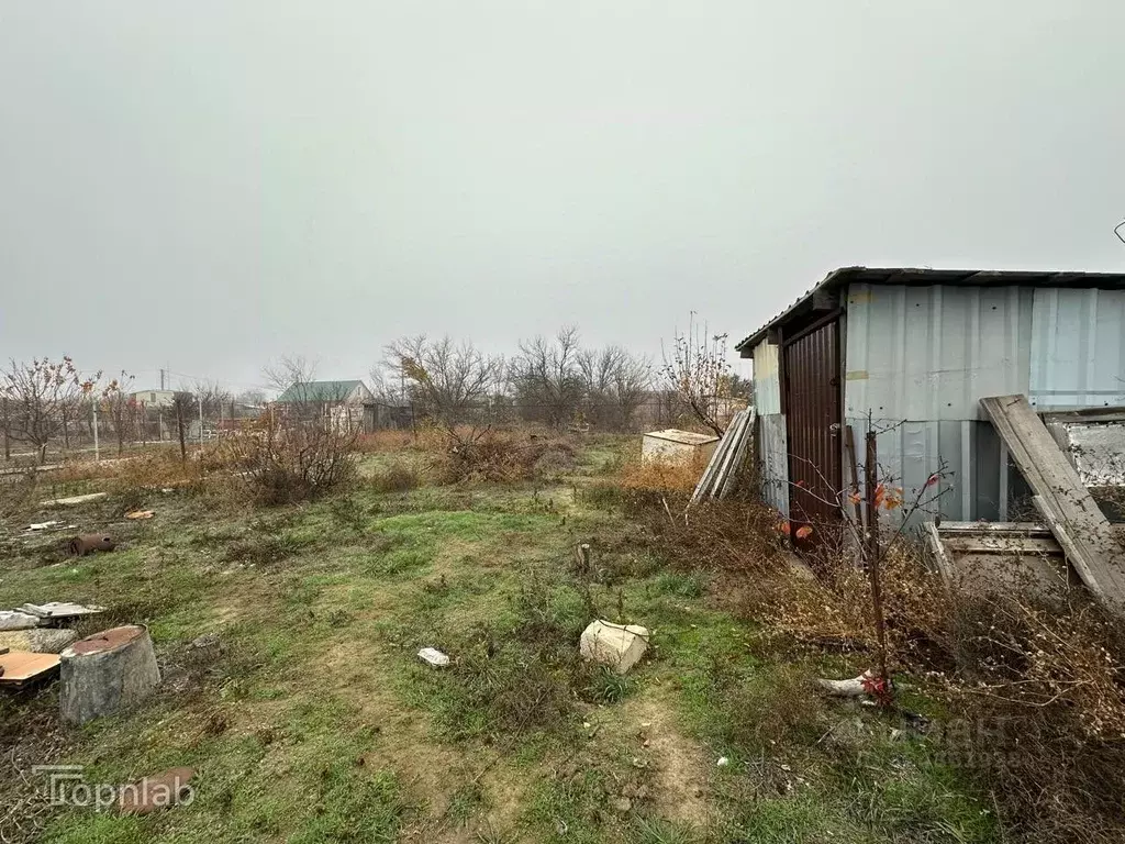 Участок в Астраханская область, Приволжский район, Финик садовое ... - Фото 2
