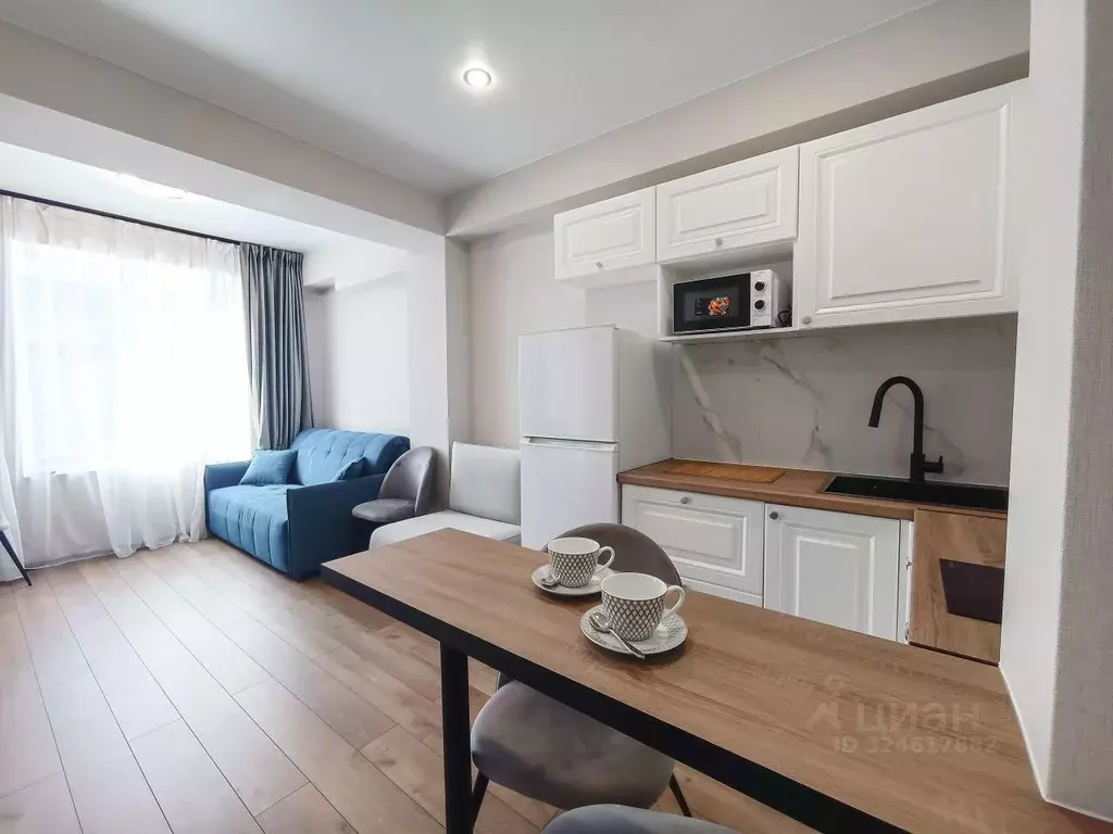 Студия Краснодарский край, Сочи городской округ, Дагомыс пгт ул. ... - Фото 1