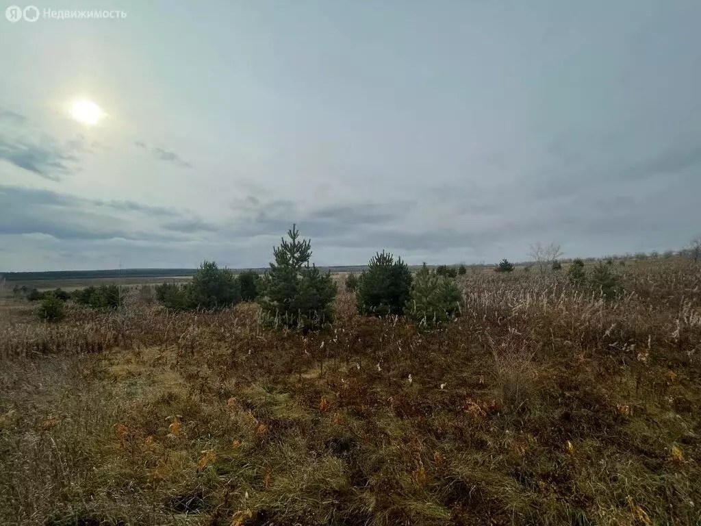 Участок в Минусинский район, Лугавский сельсовет (38 м) - Фото 1