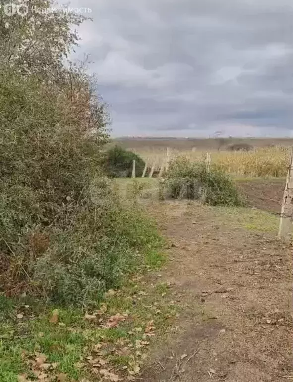 Участок в Манычская, Садовый переулок (15 м) - Фото 2