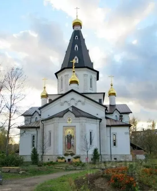 2-к кв. Московская область, Щелково городской округ, д. Медвежьи Озера ... - Фото 1