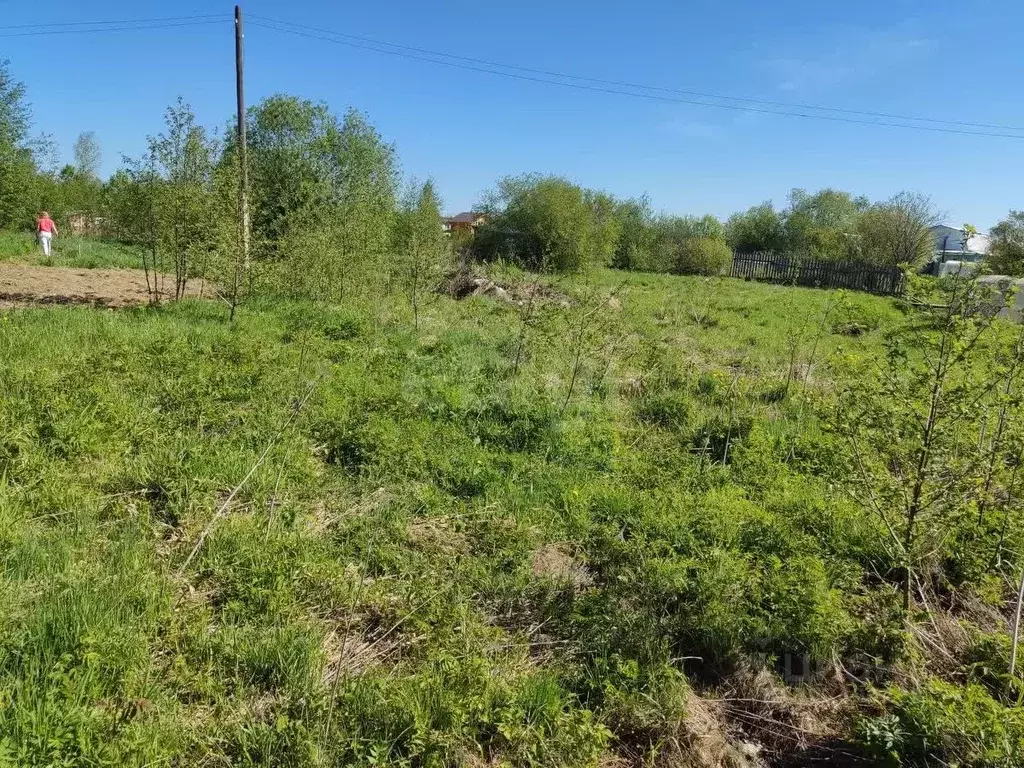 Участок в Вологодская область, Репка садоводческое товарищество  (7.82 ... - Фото 1