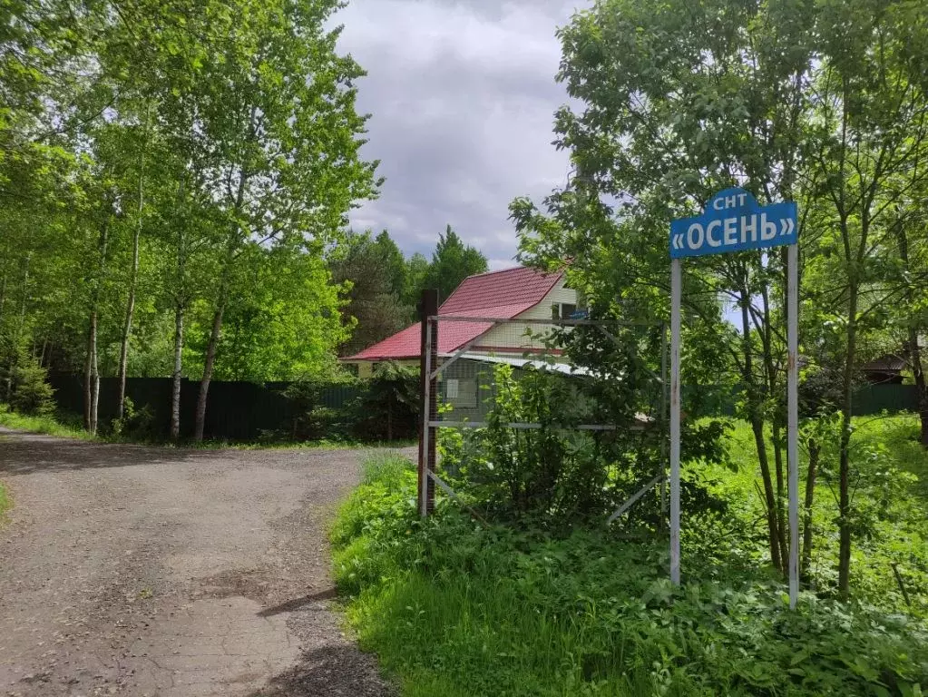 Участок в Московская область, Рузский муниципальный округ, Осень ... - Фото 1