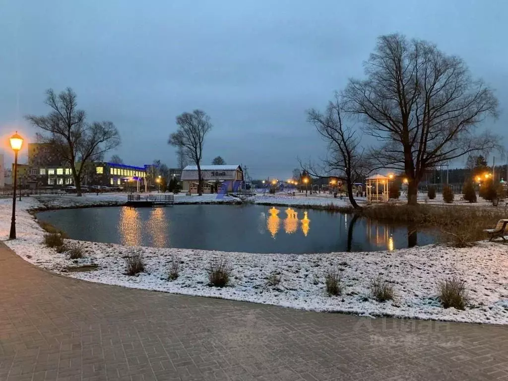 1-к кв. Ярославская область, Ярославский муниципальный округ, с. ... - Фото 1