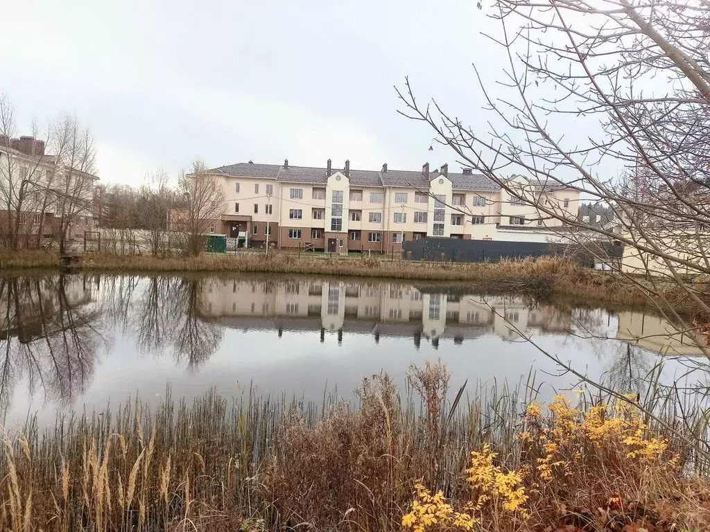 1-к кв. Московская область, Истра муниципальный округ, д. Селиваниха ... - Фото 1