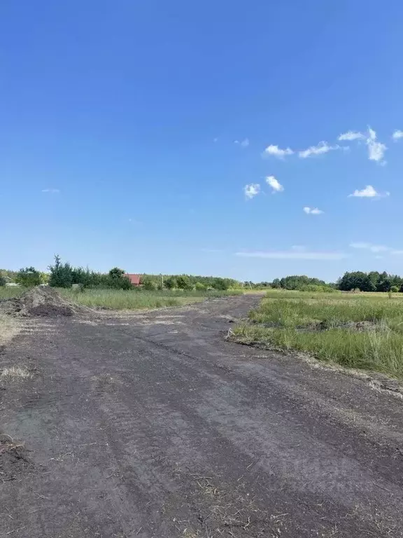 Участок в Воронежская область, с. Новая Усмань  (10.0 сот.) - Фото 0