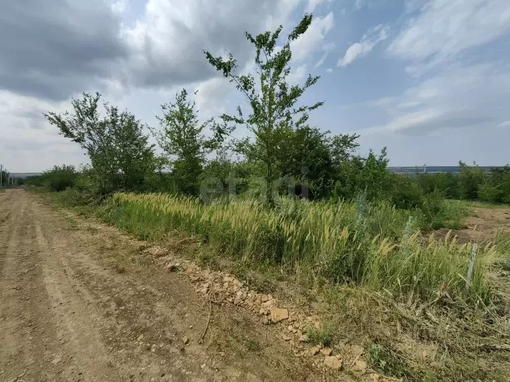 Участок в Ростовская область, Родионово-Несветайский район, ... - Фото 0