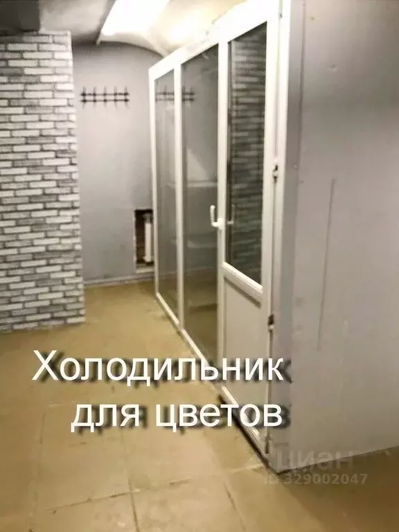 Помещение свободного назначения в Москва просп. Мира, 53С1 (18 м) - Фото 2