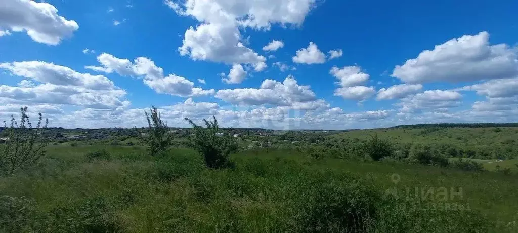 Участок в Воронежская область, Рамонский район, с. Русская Гвоздевка ... - Фото 0