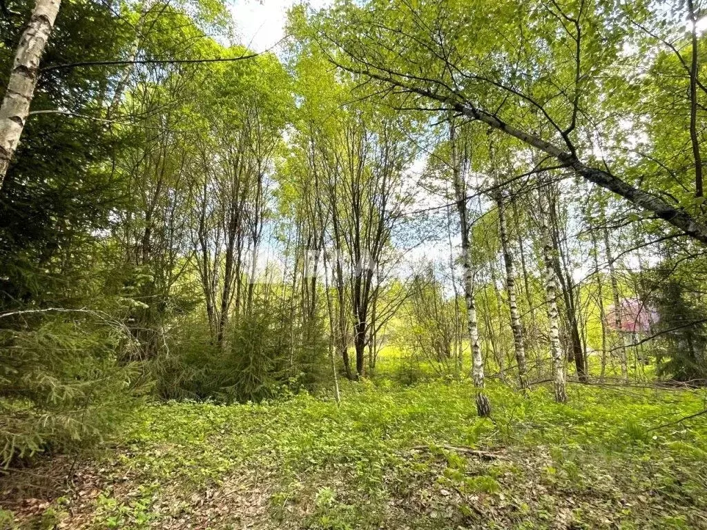 Участок в Калужская область, Ферзиковский муниципальный округ, ... - Фото 2