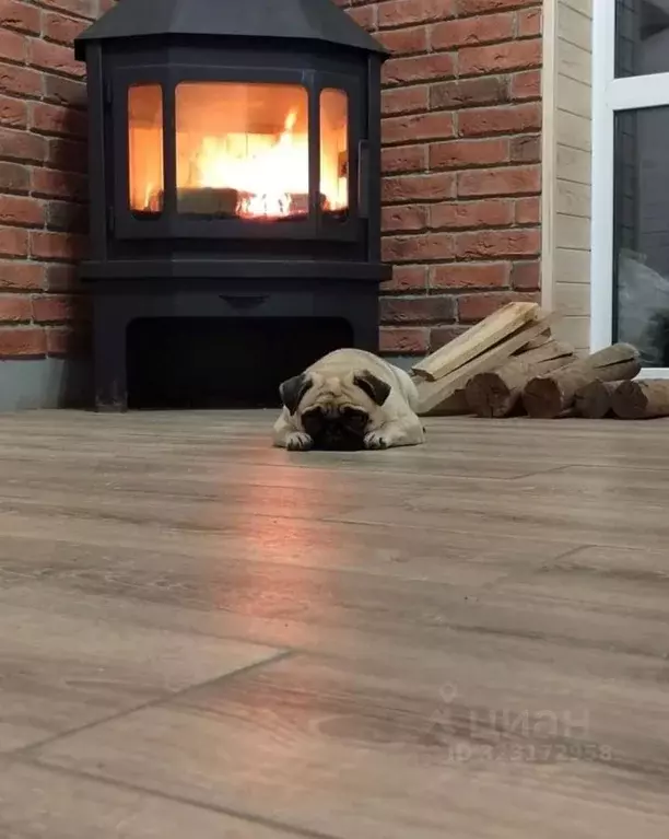 Дом в Омская область, Омский район, Магистральное с/пос, с. Ребровка ... - Фото 2