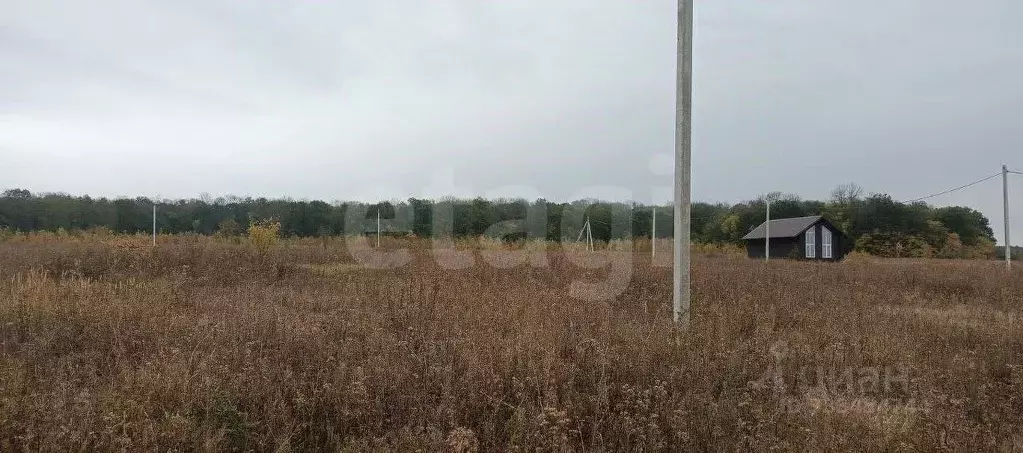 Участок в Белгородская область, Белгород ул. Ивана Кондратенко (16.26 ... - Фото 1