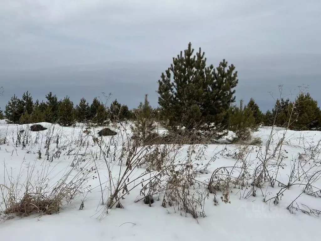 Участок в Свердловская область, Алапаевский район, с. Арамашево ... - Фото 2