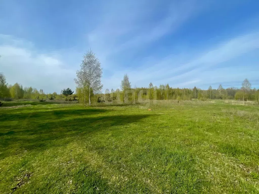 Участок в Ярославская область, Некрасовское рп  (800.0 сот.) - Фото 0