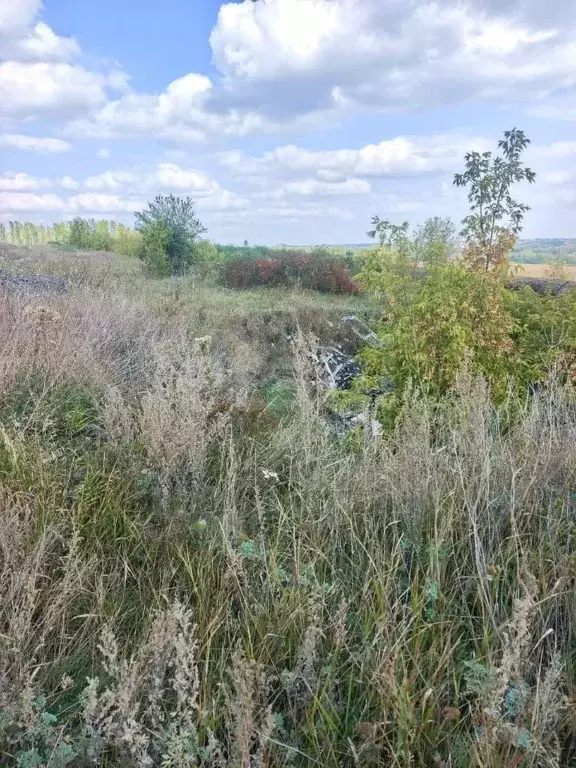 Участок в Белгородская область, Белгородский район, Ериковское с/пос, ... - Фото 1