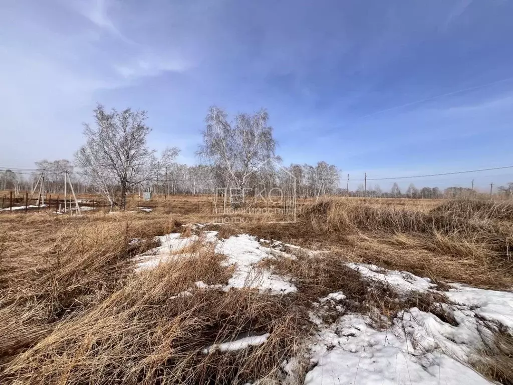 Участок в Новосибирская область, Новосибирский район, Верх-Тулинский ... - Фото 0