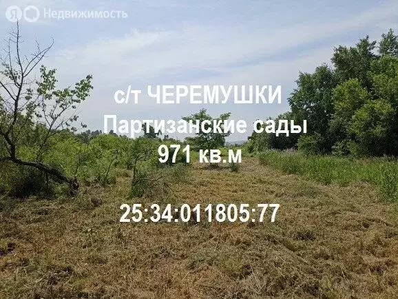 Участок в Уссурийск, СДТ Черёмушки (10 м) - Фото 1