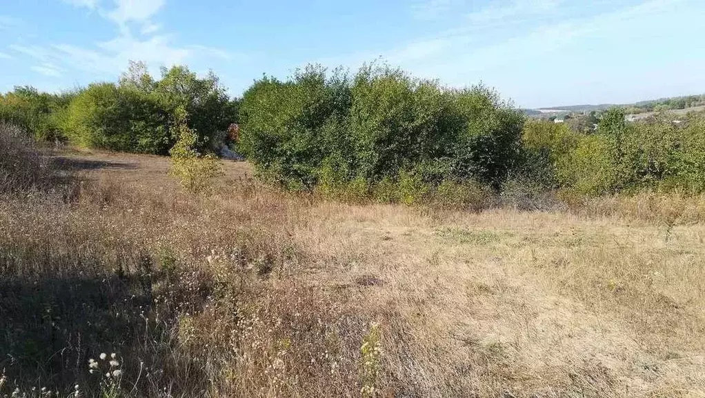 Участок в Белгородская область, Яковлевский городской округ, с. Шопино ... - Фото 1