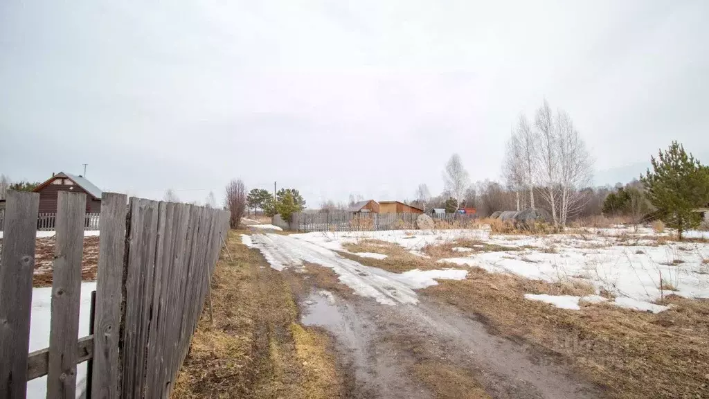 Участок в Томская область, Томск пос. Светлый, Калинка садовое ... - Фото 0
