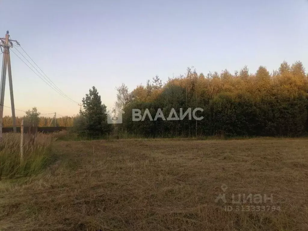 Участок в Владимирская область, Судогодский район, Головинское ... - Фото 1