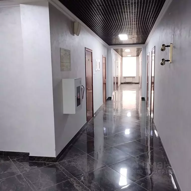 Офис в Воронежская область, Воронеж Театральная ул., 23 (253 м) - Фото 1