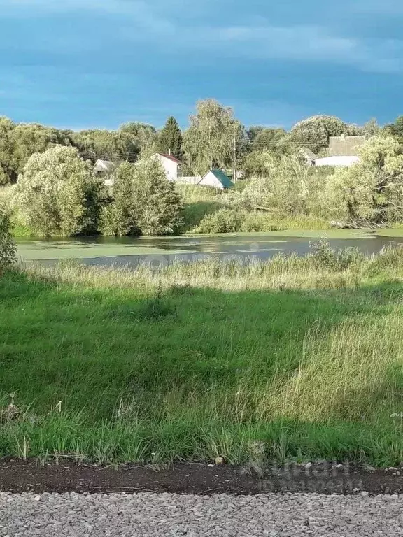 участок в калужская область, ферзиковский район, дугна с/пос, с. дупли . - Фото 0