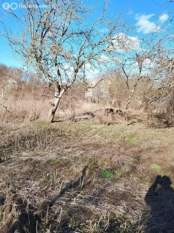 Участок в Балтийск, СНТ Балтийский Урожай-2 (8.5 м) - Фото 1