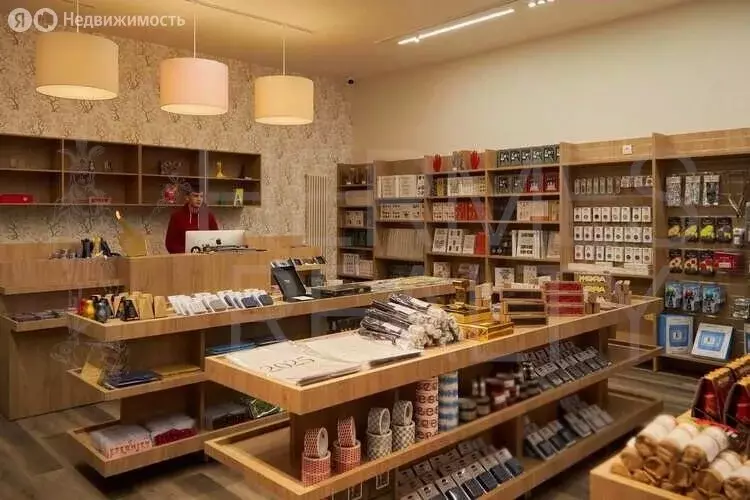 Помещение свободного назначения (87.8 м) - Фото 1