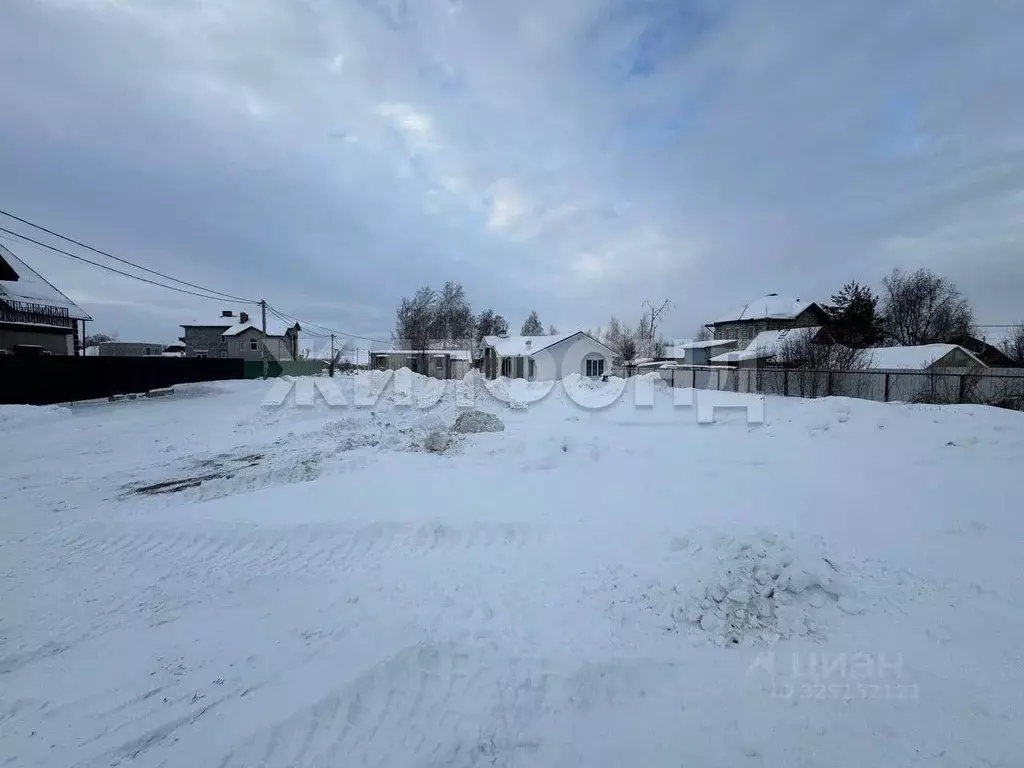 Участок в Новосибирская область, Новосибирский район, Морской ... - Фото 2