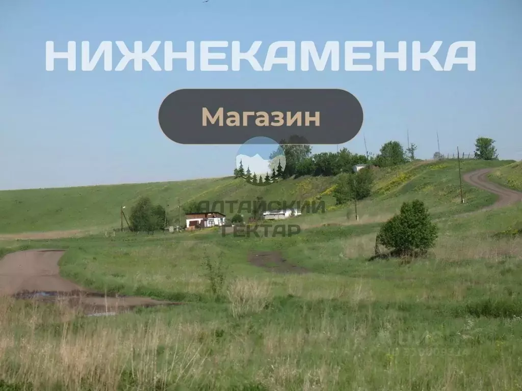 Участок в Алтайский край, Алтайский район, с. Нижнекаменка Камчатский ... - Фото 1