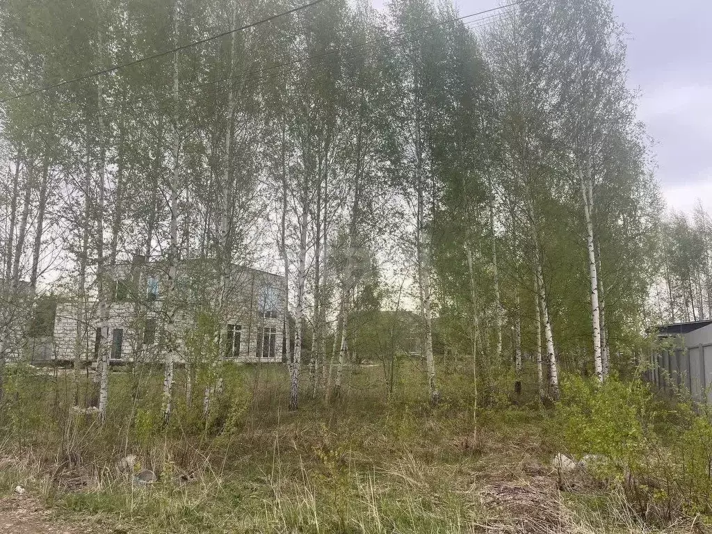 Участок в Татарстан, Казань ул. Зеленая Роща, 56 (8.0 сот.) - Фото 2