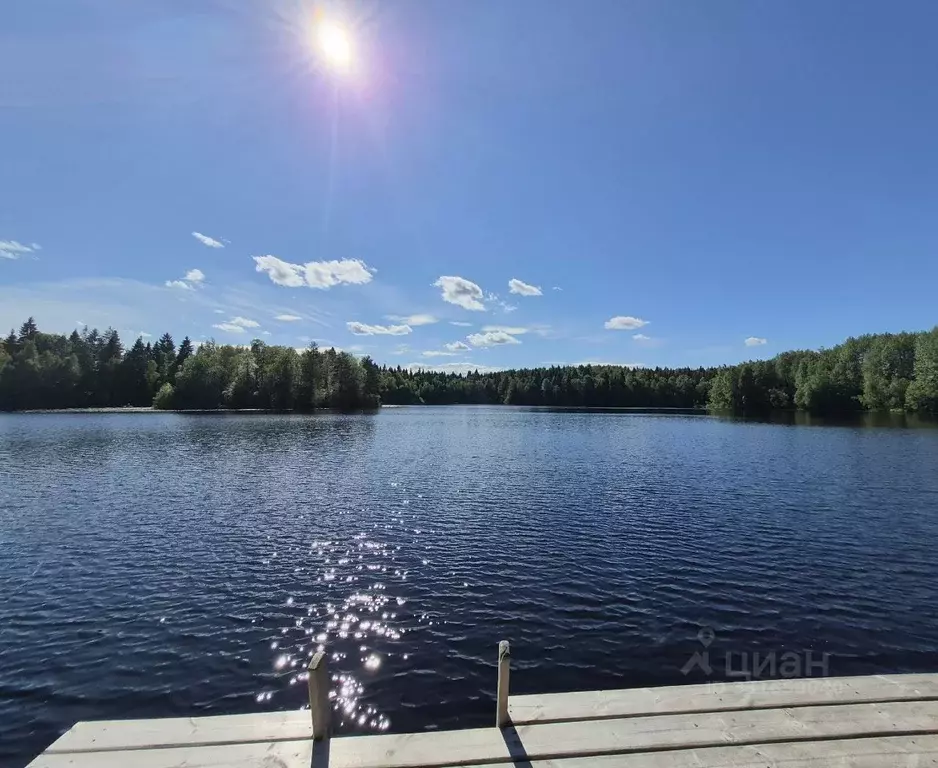 Участок в Архангельская область, Приморский муниципальный округ, ... - Фото 1