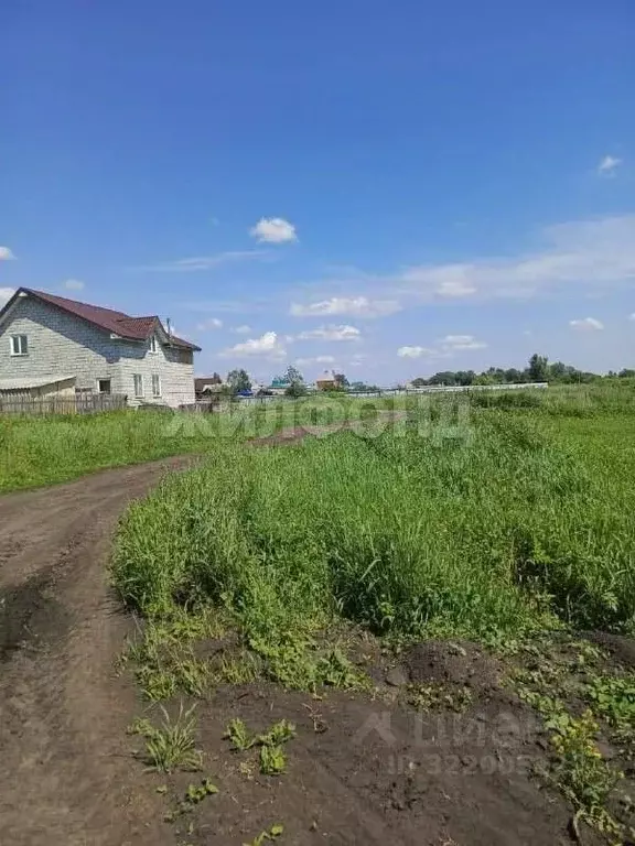 Участок в Новосибирская область, Колыванский район, д. Большой Оеш ул. ... - Фото 0