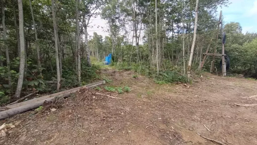 Участок в Башкортостан, Туймазы  (9.1 сот.) - Фото 1