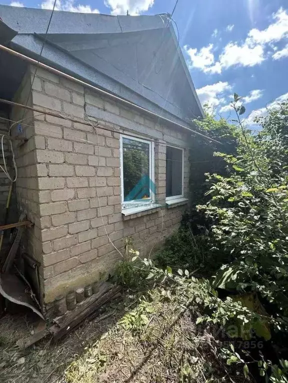 Участок в Оренбургская область, Оренбургский район, с. Южный урал ... - Фото 1